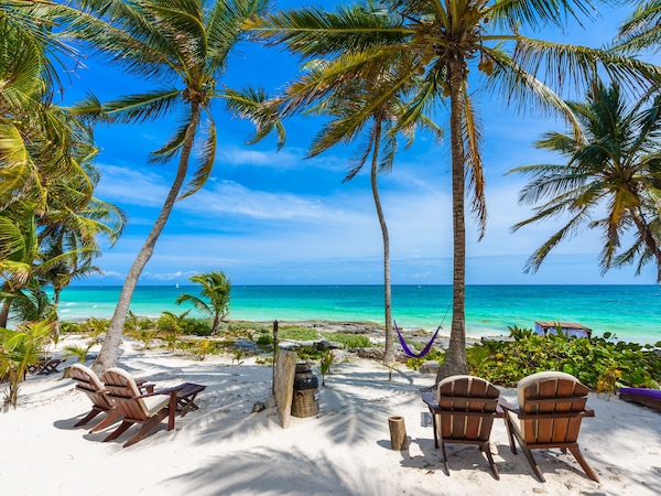 Strand mit Palmen, Liegestühlen und einer Hängematte.